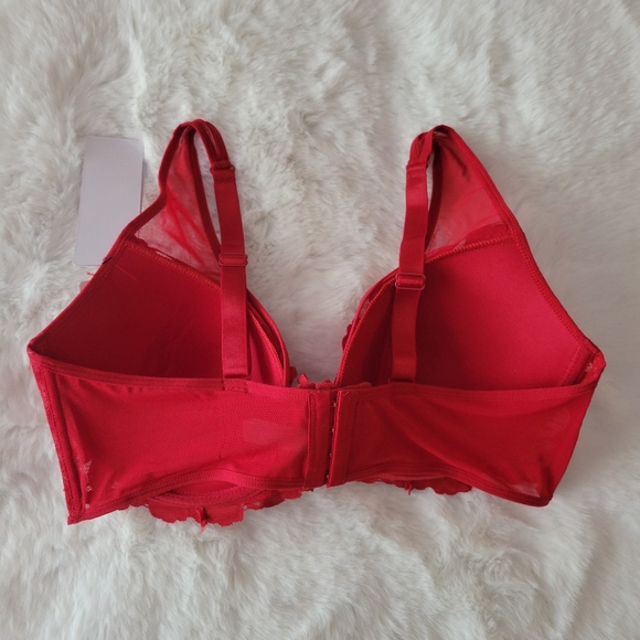 💋DAISY FUENTES BRAND NEW HIGH APEX LACE BRA SIZE 40C - Picture 9 of 11